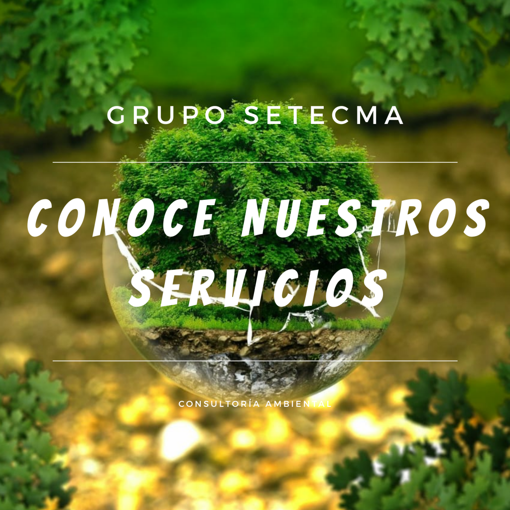 Grupo Setecma Consultor A Ambiental